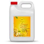 OXY12 Lemon Hand Wash Anti-bacterial Disinfectant 5 LTR