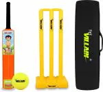 THE VILLAIN Chhota Bheem Cricket Bat, Ball, Wicket & Cover |Size 5-Age Group 8-11,Multicolor Cricket Kit