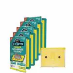 Shadow Securitronics Blue Raptor Mouse Insect Rodent Lizard Trap Rat Catcher, Adhesive Sticky Glue Pad, Non Poisonous/Toxic, Rat Terminator,Glue Trap, 5 PCS Traps Sticky Pad Boards (Pack of 5)