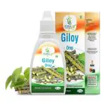 Pure Giloy Drop to Support Boost Immunity and Strength of Body Pack Of 3 (30ml )