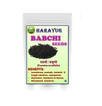HARAYUG Babchi Seeds - Bakuchi Seeds - Bavachi Beej - Bavchi Beej - Psoralea Seeds 400 gm
