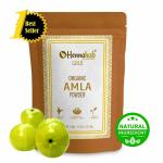 Hennahub Gold Amla Powder for Hair mask Pack 100 gm Pack | Natural Hair Care product
