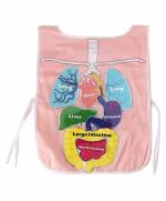 Smartcraft What's Inside my Body Apron to teach 11 internal body parts Educational Learning Toys