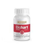 WellnessMantra BIOHART Ayurvedic Capsules | Lower Bad Cholesterol & Triglycerides | Blood Pressure Control | Improve Heart Health | Arjunchhal, Haritaki, Lasoon and more herbs (Pack of 2- 120 Capsules)