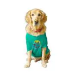 Ruse Aqua Green Cotton Pet Desi Bro Printed Round Neck Sleeveless Vest Tank T-Shirt For Dogs - Xl (Labs)
