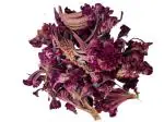 Kashmir Harvest Hub Pure Kashmiri Cockscomb Flower - 100g | Mawal | 100% Natural & Authentic | Premium | Hand Picked | Wazwan Dishes | Coloring | Celosia (Pack of 1)