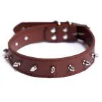 PetCeptual Pure Leather Dog Spike Collar for Small Puppies (Color Will be Sent as per The Availability)