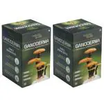 Nature Sure Ganoderma Capsules for Men & Women- 2 Packs (60 Capsules Each)
