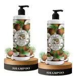 B&B Bliss & Blush Coconut & Avocado Oil No Parabens & Sulphate Hair Shampoo, 200Ml (Pack Of 2)