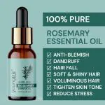 Youngtre Rosemary Beard Oil 100% Pure for Natural Shiny Dense Beard Hair Growth -10ML