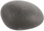 Shivaratna Shaligram Stone From Gandaki River - Nepal - 4 Cm