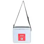 FAIRBIZPS Mini Vaccine Carrier Box with 2 Ice Pack Small Vaccine Storage Box (0.90 Ltr) Grey