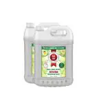 PaxAir 3 in 1 Hand Sanitizer and Multi Surface All in One Disinfectant Spray with 99.99% Germ Kill Action (Citrus Blast), 10L ( pack of 2)