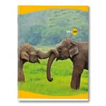 Youva Navneet| Soft Bound Notebook| 18 cm x 24 cm| Double Line| 172 Pages| Pack of 12