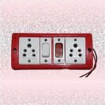 ANAND NIKHIL Silcon 12V/24V DC to 220V AC Converter/Gang Box(40W-60W)