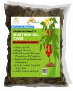 Shree JEE Organic Mustard Oil Cake for Plants 1kg| Fertilizer Gardening Nutrient Manure