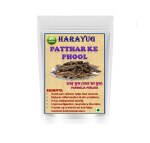HARAYUG CHADILA - CHARILA - CHAREELA - STONE FLOWER - PATTHAR PHOOL - DAGAD PHOOL - PARMELIA PERLATA 400 gm