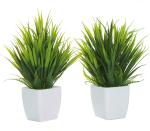 Chaudhary Flower Silk Green Wild Artificial Flower with Pot 8 inch CH00073 Pack of 2