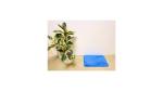 SKAP Blue Microfiber Mat 38 x 58 cm (CDM25)