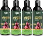 VAYDO Red Onion Black Seed Oil Shampoo With Red Onion Seed Oil Extract, Black Seed Oil & Pro-Vitamin B5 - (400 ml) (400)