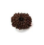 Feel Touch Mart 13 Mukhi Original Rudraksha 13 Nepal 25.20mm Thirteen Face Silver Pendant Therha Mukhi Rudraksha for Men & Women Lab Certified