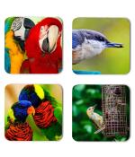 Whats Your Kick Birds Lover Parrots Couples Printed Set of 4 Coaster With Metal Stand