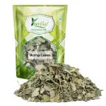 YUVIKA Moringa Leaves - Moringa oleifera - Sohjana Patti (100 Grams)