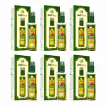 Jadi Buti Nourishing Hair Oil | for All Hair Types | 100ml e/ 3.39 fl.oz. (Pack of 6)