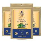 Khadi Ark Herbal Indigo Powder (Pack of 3, 100 GM Each) (300 g)