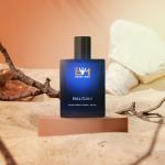 BRAVOMAN BALSAM Citrus Aromatic - Your Signature Fragrances, Wherever & Whenever Eau de Parfum - 100 ml (For Men)