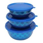 SWHF Stainless Steel Food Storage Airtight & Leak Proof Containers Set (Pack of 3,Blue)