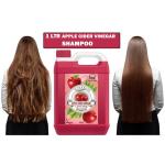 B&B BLISS & BLUSH Apple CIider Vinegar Conditioning Shampoo For Smooth And Silky Hair 1 ltr