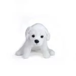 PunToon Kids Labrador Dog Plush Soft Toy For kids | Creative Realistic Stuffed Animal Puppy Dolls Toys for Children