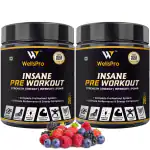 Wellspro Insane PreWorkout 500g gym supplements for Ultimate Performance & Pump Mix Berry Flavor