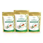 Vedikroots Avipattikar Powder/Churn - For Relief From Indigestion And Hyperacidity | 100% Natural Formulation | Mix Of Essential Nutrients 100Gm (Pack of 3)