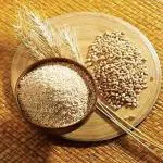 Parityaag Barley Dalia|Jo ka Daliya|Jau Ka Daliya|Jao dalia 200 gm