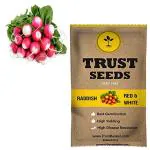 Trustbasket Red Raddish Vegetable Seeds (1)