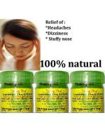 MOVITRONIX Hong thai Inhaler Pack of 4 - Thailand Product