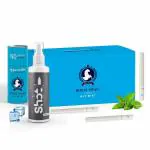 ROYAL SWAG Ayurvedic & Herbal Cigarette, Mint Flavour Smoke for Nicotine Free & Tobacco Free Cigarettes with Shot Helps in Quit Smoking - (50 Sticks)