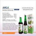 DEE INDIA HERBALS Amla Syrup (500 ml) Pack of 1 ()