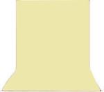 Cam Cart Photography Studio Backdrop for Event Shoot and Vedio Recording (8 X 10.5 ft , Skin)