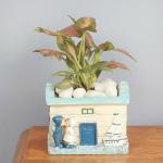 FlowerAura Decorative Syngonium Air Purifying Live Indoor Plant With House Shape Ceramic Pot Vase For Living Room, Table Corner, Balcony, Office/Home Decoration