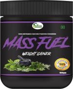 Inlazer Mass Fuel Weight Gain Powder, Lean Mass Weight Gainer Men Women, Whey Protein Weight Gainers/Mass Gainers (100 g, No Flavour)
