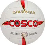 Cosco Volleyball Gold Star Volley