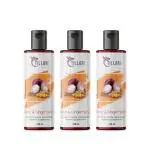 TILLARI Onion Ginger Hair Oil For Hair Fall Control with Multi Vitamins For Hair Hair Oil 100ML (PACK OF 3)