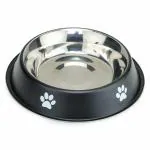 Dog Bowl 700 ML Black