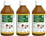 SKSB PAC-025-225-03 Garlic Lemon Ginger Apple Cider Vinegar Honey (675 ml, Pack of 3)