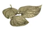 Kalarambh Brass Betel Leaf Tray For Home Handicraft Art -8 x 9.1 x 0.7 Inch (L x W x H)