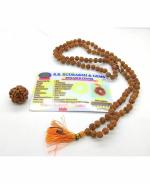 Zyana Lakshy Trader Tulsi Kanthi 2 Round Mala for Mens and Womens