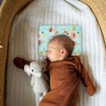 Kradyl Kroft New Born Baby Pillow For Preventing Flat Head | Head Shaping Pillow With Cotton Removable Cover (Blue Flora)